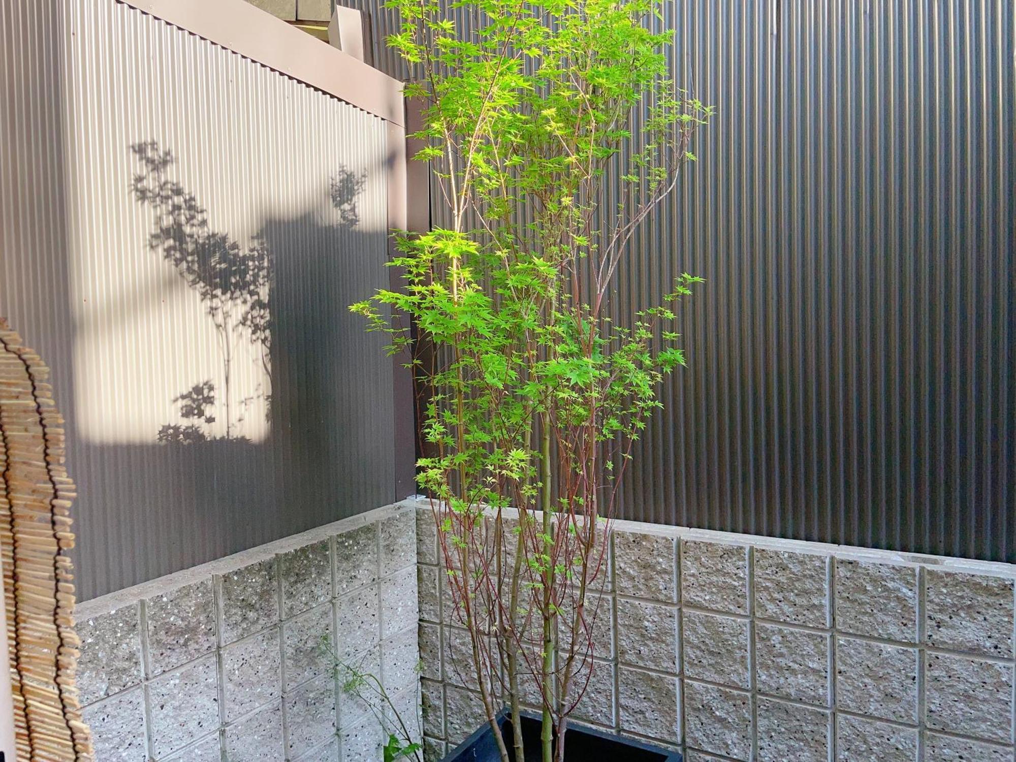 Suikakan Heianjingumae 酔花間 Kyoto Exterior foto
