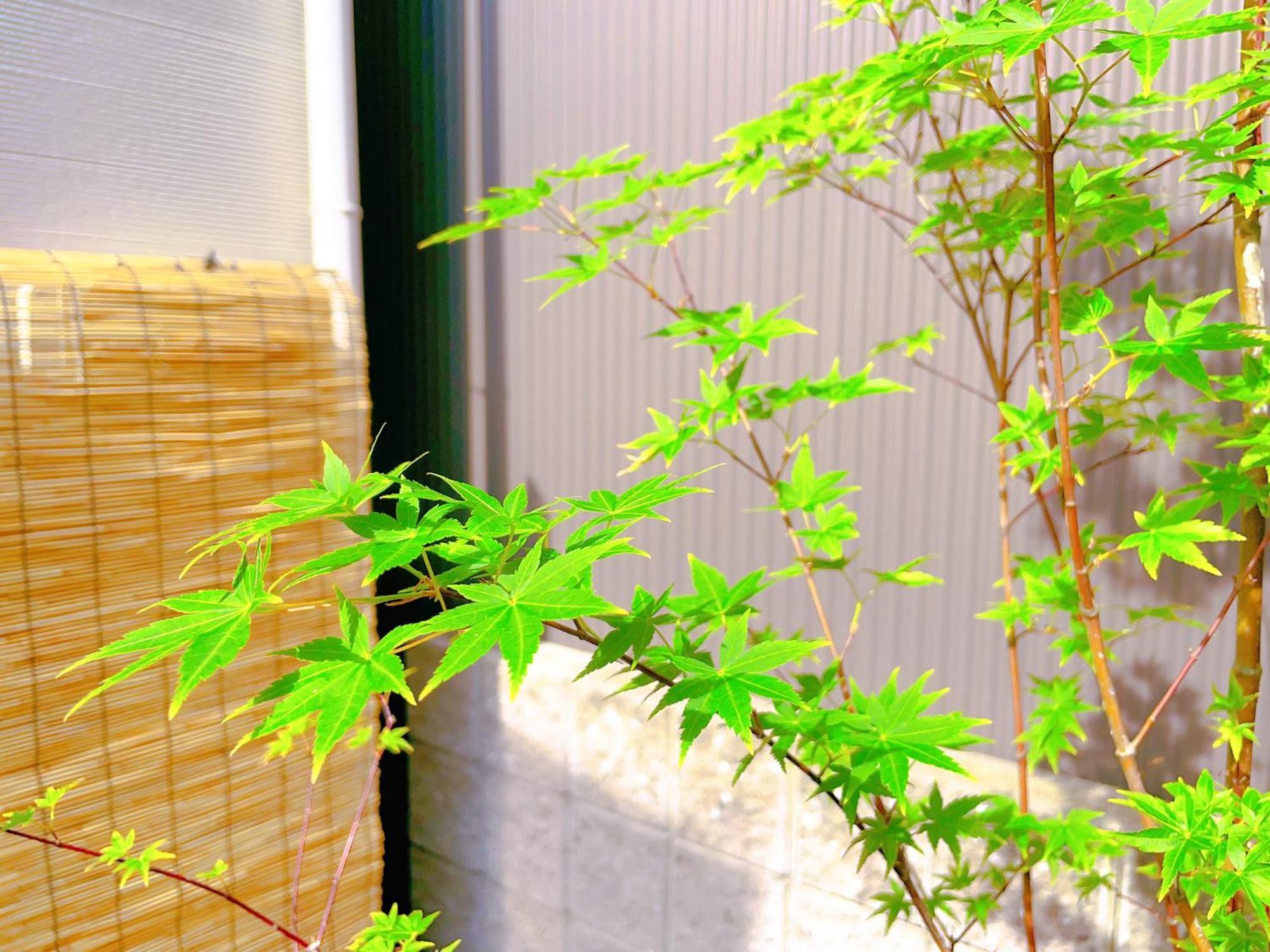 Suikakan Heianjingumae 酔花間 Kyoto Exterior foto